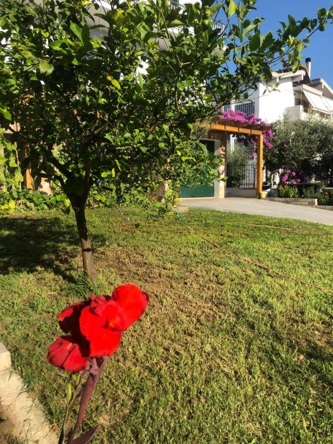 Lägenhet A Casa Di Alice